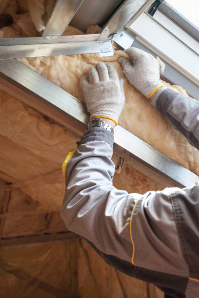 Best Soundproof Insulation Installation  in Santa Rosa, NM