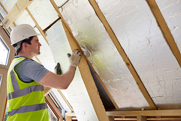 Best Attic Insulation Installation  in Santa Rosa, NM